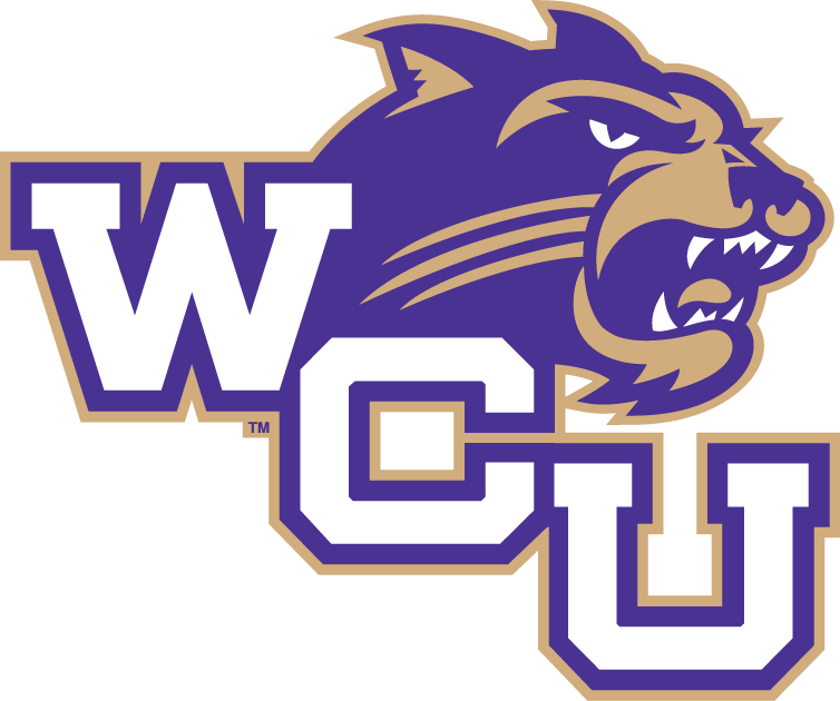 Western Carolina Catamounts 1996-2007 Alternate Logo 08 iron on paper